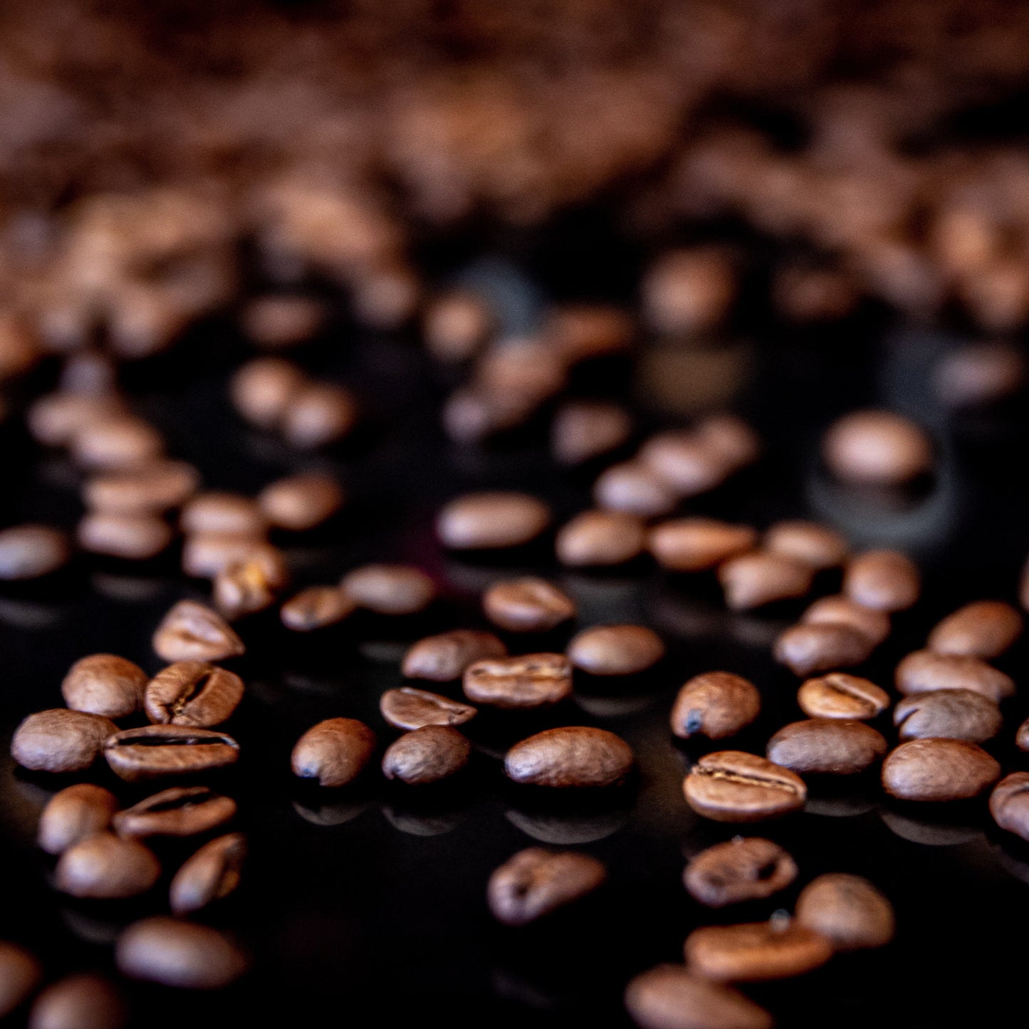 Colombian Brew Coffee Beans